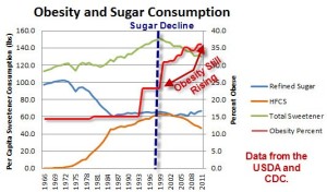 Sugar Consumption and Obesity  300x176 25 Things You Should Know About Sugar